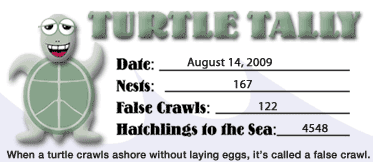 Turtle Tally