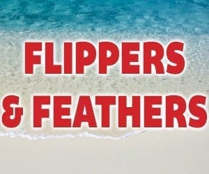 Flippers and Feathers