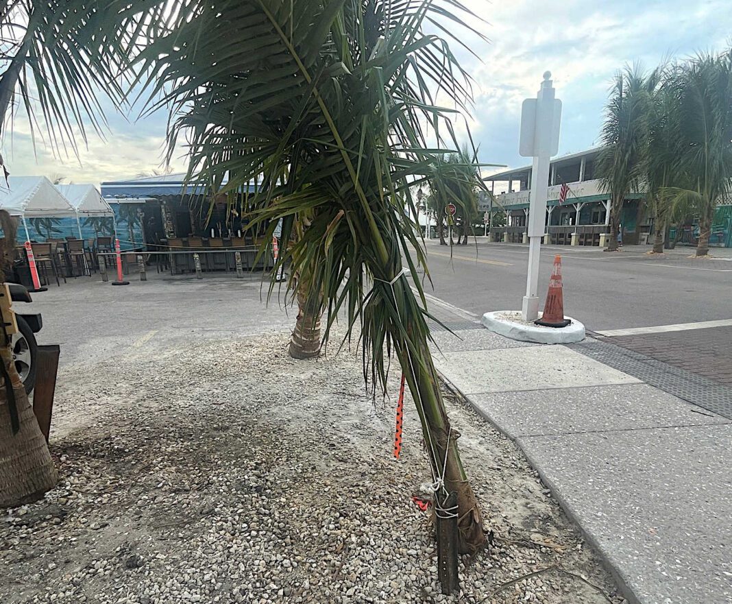 Signed palm tree agreement remains elusive