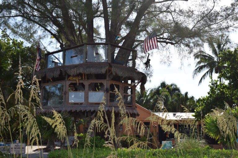 Fans say goodbye to treehouse