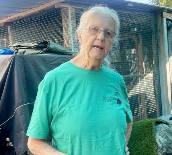 Wildlife Inc. rehabbed after hurricane damage