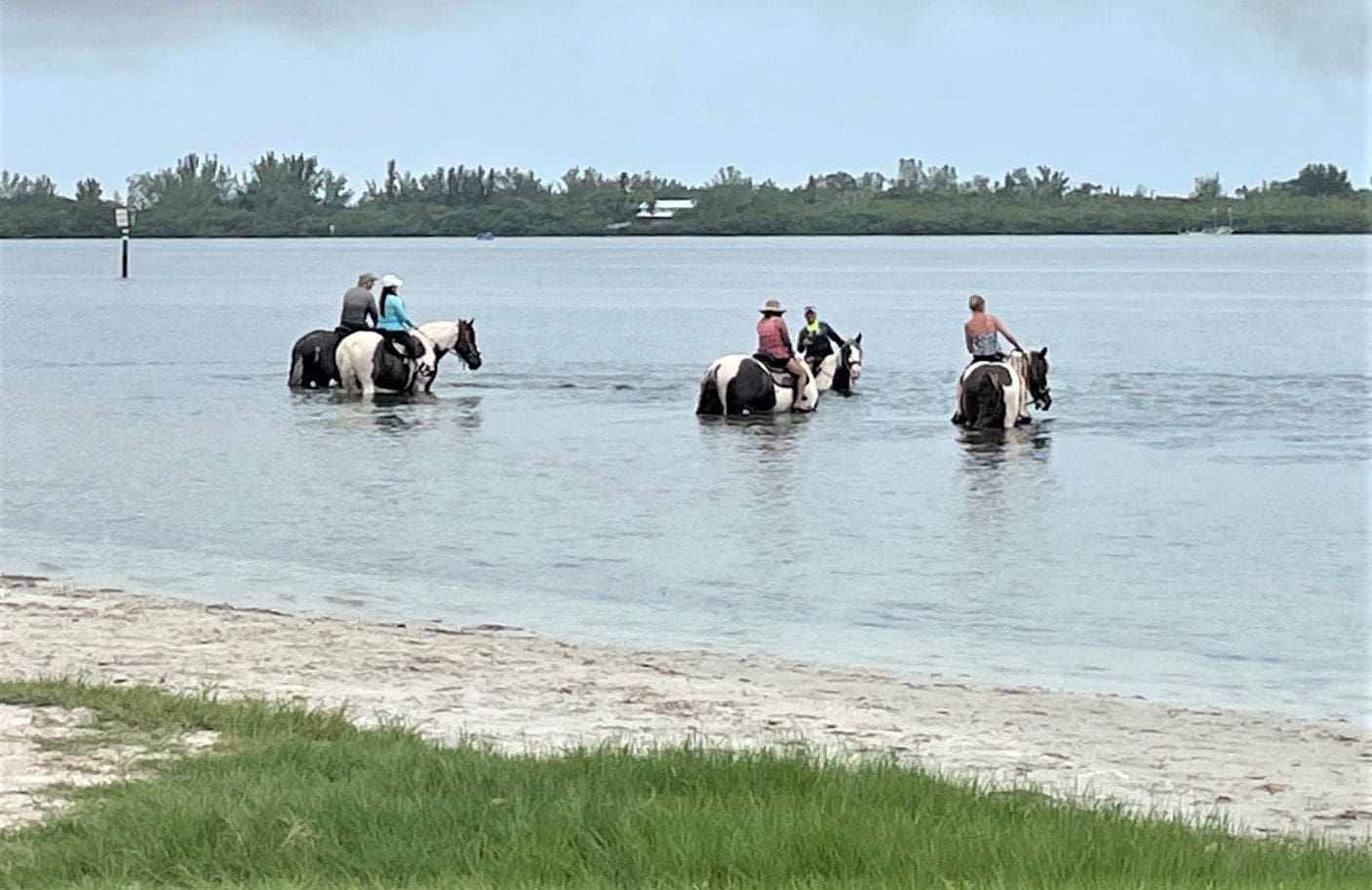 Palma Sola Bay impacted by several sources