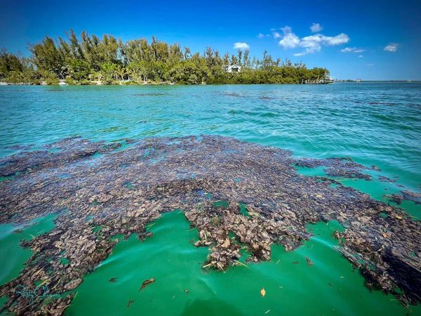 Reel Time: If we don’t do it, who will?