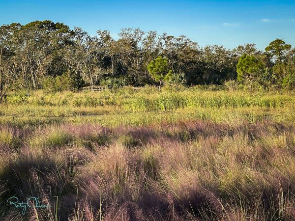 The making of Perico Preserve