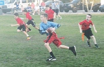 Progressive Cabinetry closes doors on Bins Be Clean