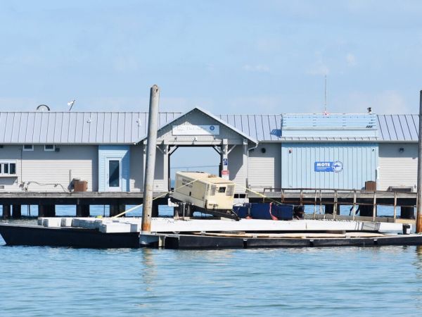 Mote Marine’s City Pier lease terminated