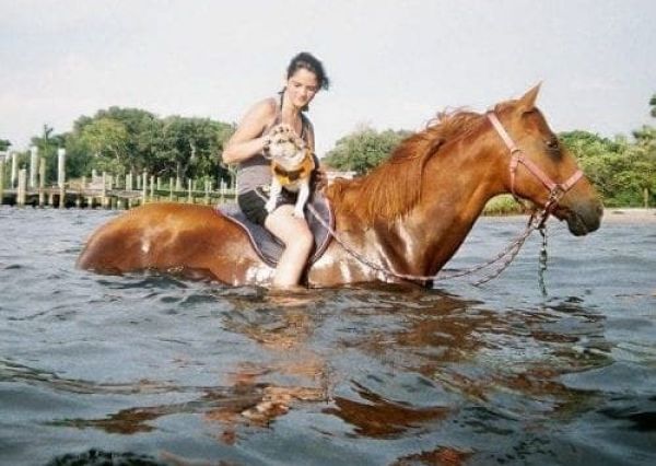 Pinellas County bans water horses