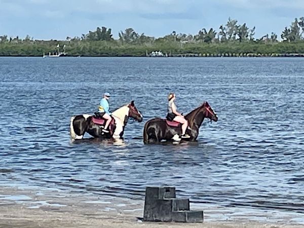 Water quality tests in bay require further evaluation