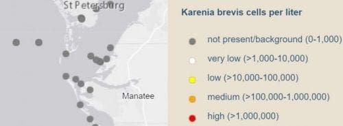 Manatee waters free of red tide