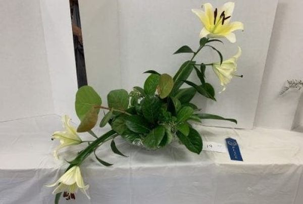 AMI Garden Club goes Hollywood