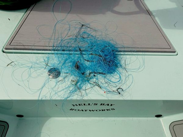 It’s for the birds