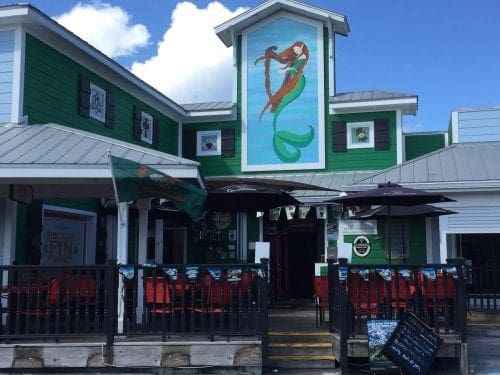 Freckled Fin purchase