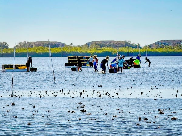 Resolutions that bear fruit