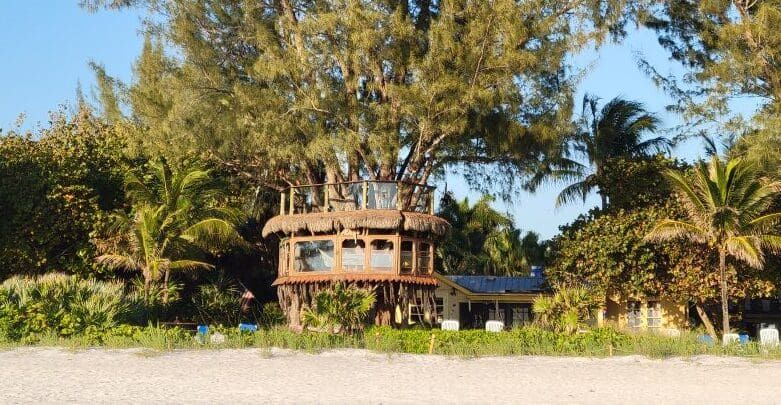 Tree house closer to demolition