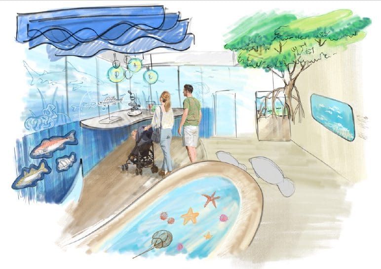 Mote given 2023 deadline to complete City Pier facility