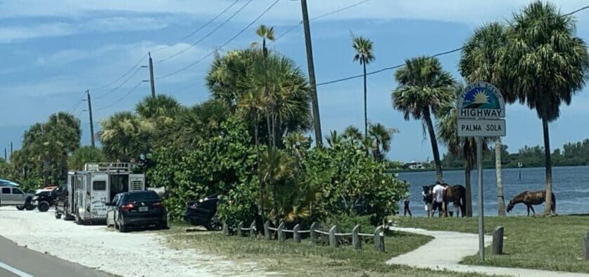 Scenic Highway CME talks horses on the causeway