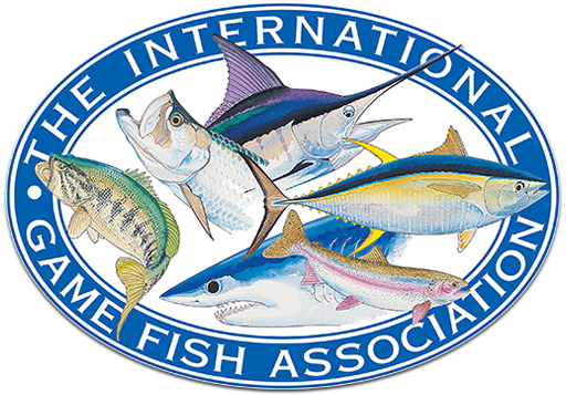 Hurricane recovery grants available for fishing captains, guides