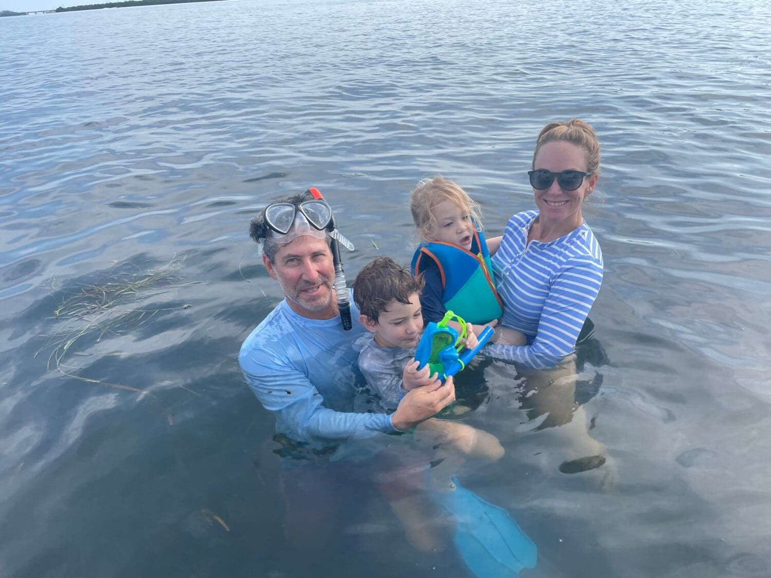 Sarasota Bay Watch Scallop Search resumes