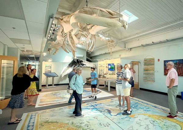 Reel Time on The Road: The Center for Coastal Studies