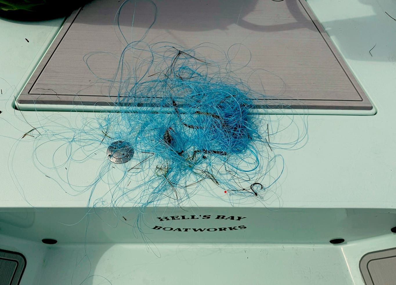 It’s for the birds