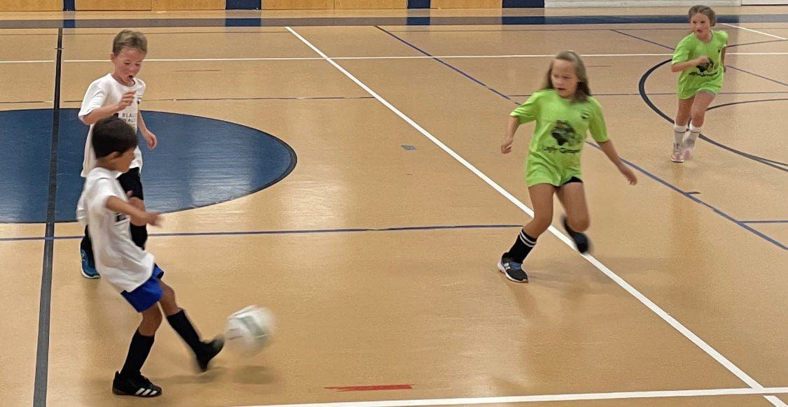 First indoor wins for Bridgetender, Moss