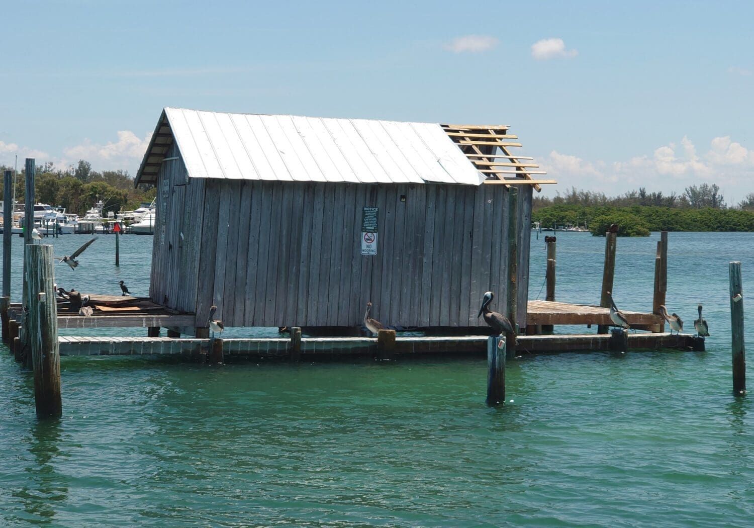 Net camp refurbishment continues