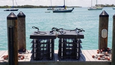 Mini reefs installed at Mar Vista