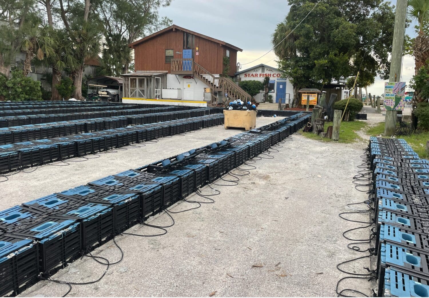 Stone crab season closes