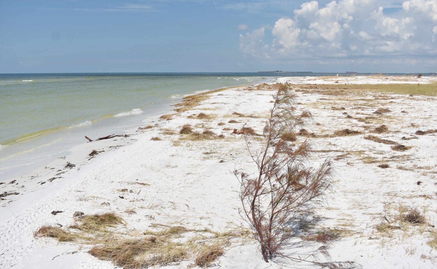 Vacation rentals still allowed in Anna Maria