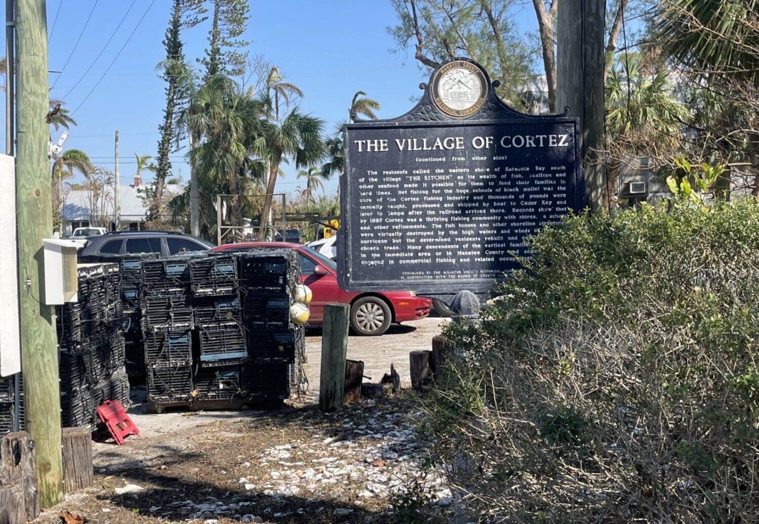 Cortez moves forward with stone crab harvest