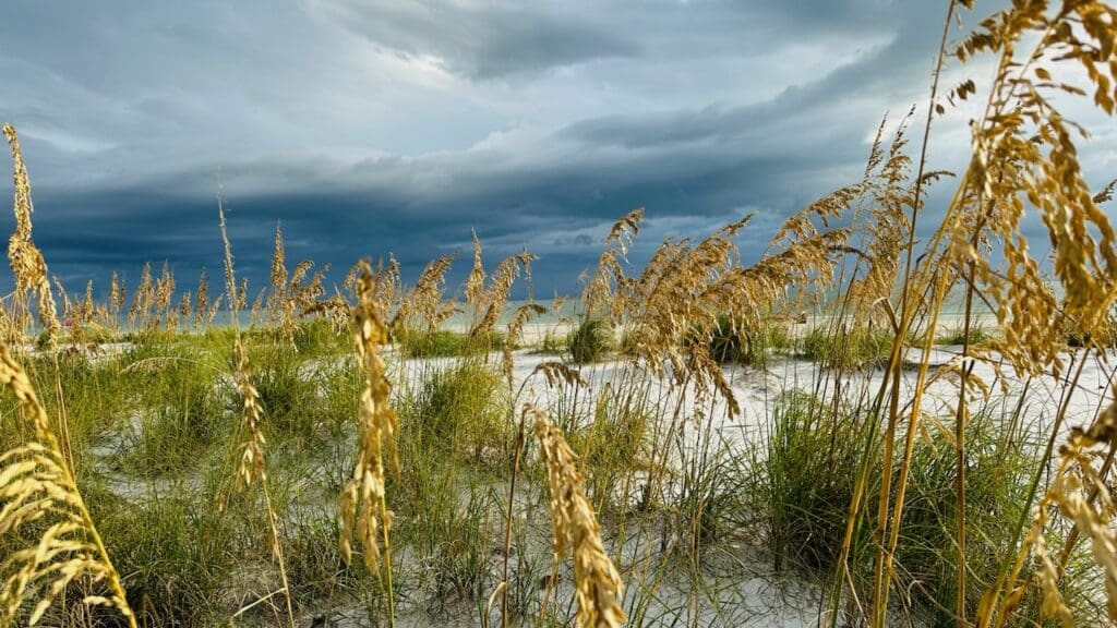 Stimart family launches Build Back the Beach project