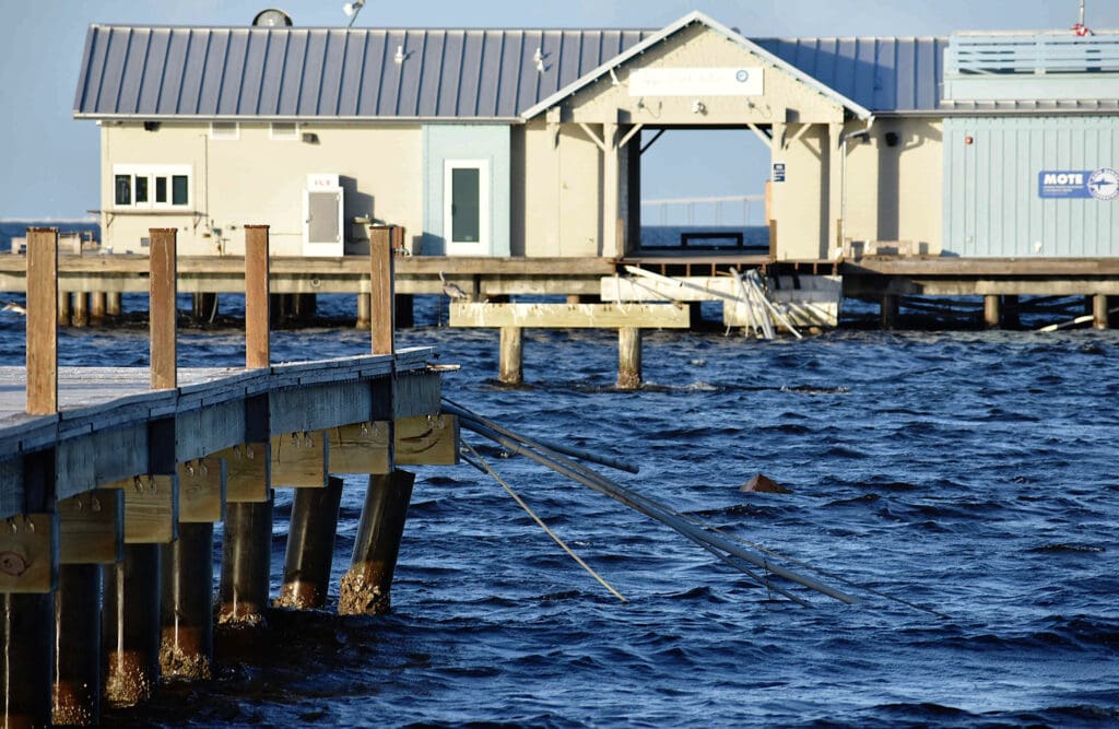 Anna Maria: Year in Review