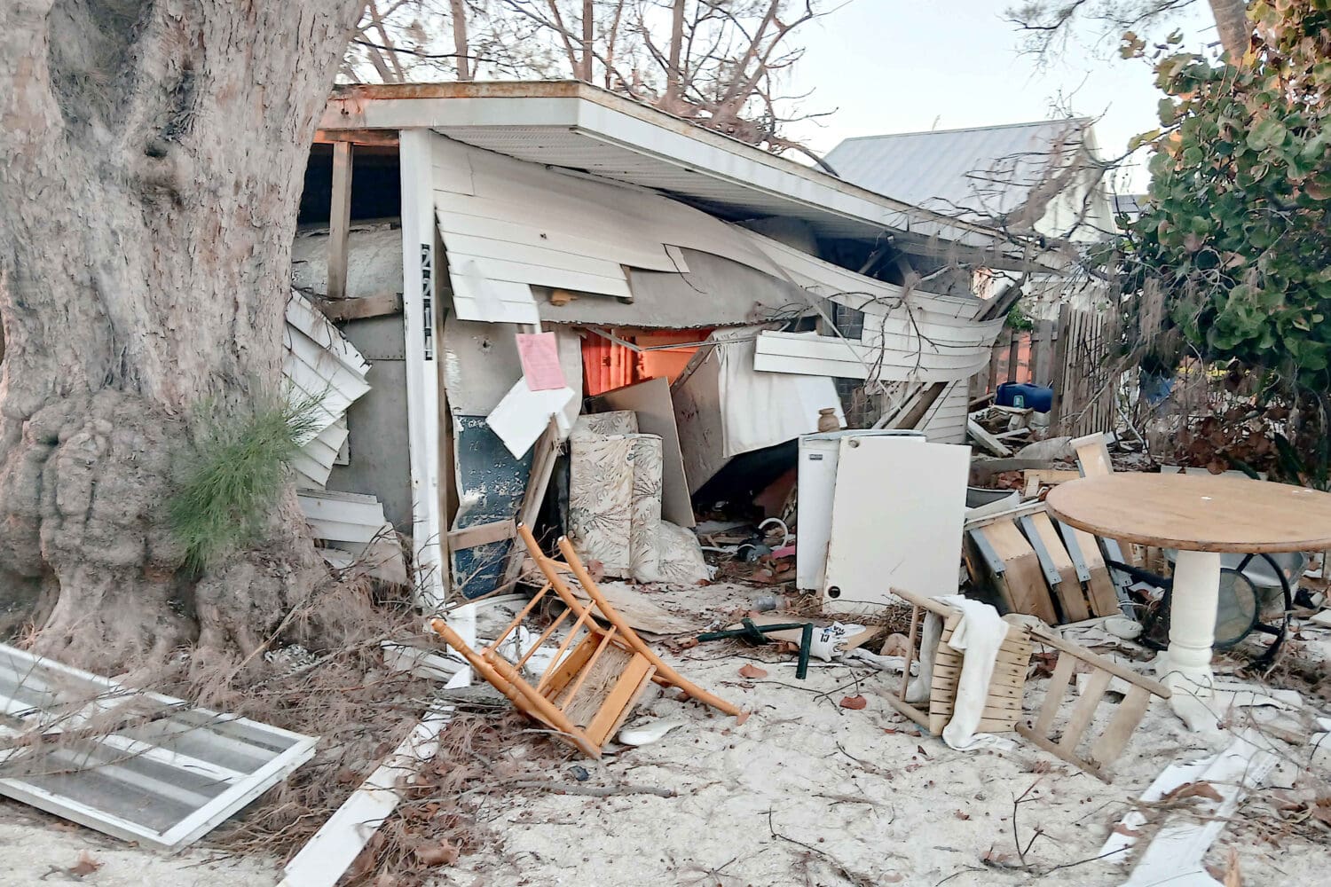 Octogenarians survive Hurricane Helene ordeal