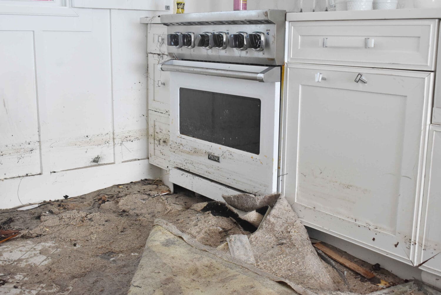 ‘Love Shack’ cottage owner staves off condemnation