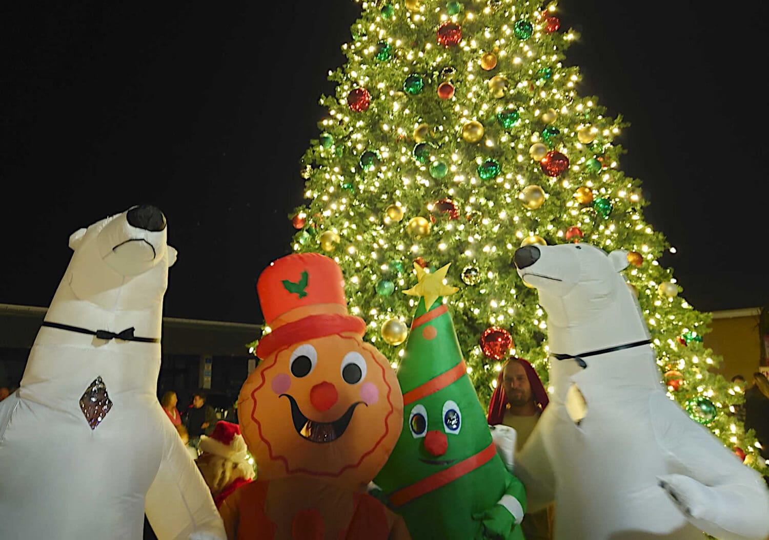 Christmas comes to Bridge Street on Saturday