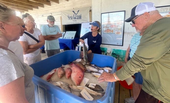 Fishing Festival proves ‘Swamped, but never sunk’