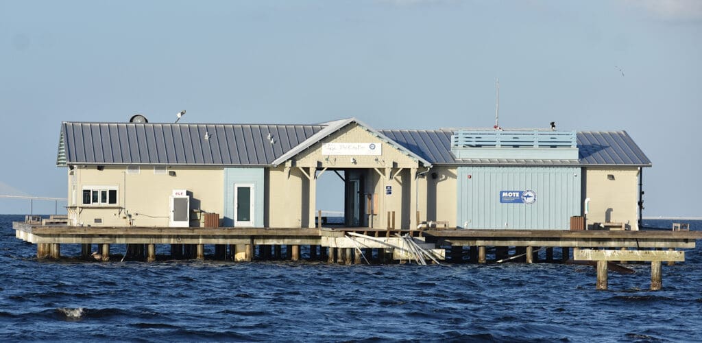 Report identifies cause of pier walkway failure