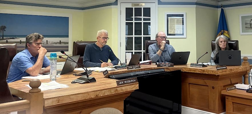 Commissioners appoint vice mayor, CRA leaders