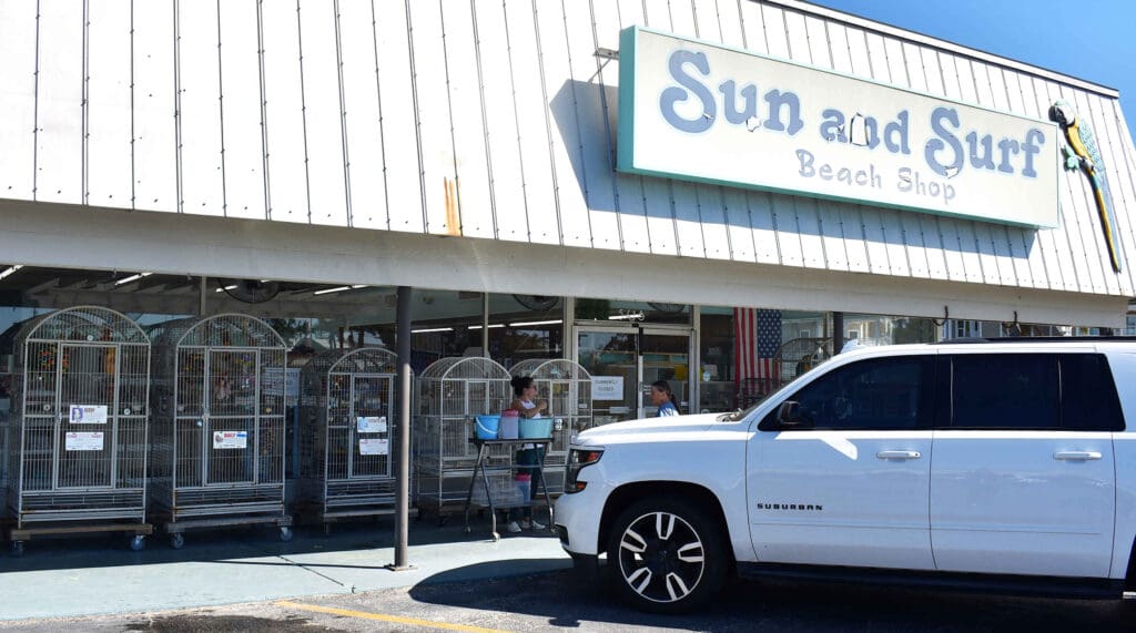 The birds are back in town