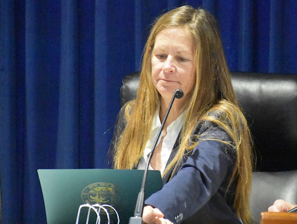 City leaders oppose property tax elimination