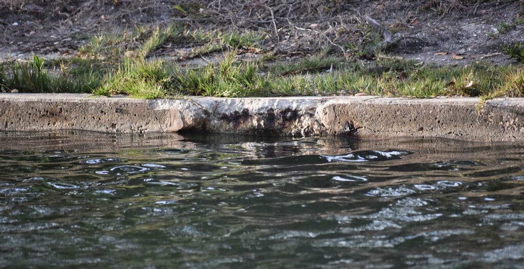 Seawall regulation revisions discussed