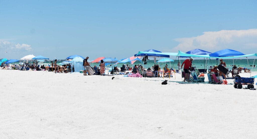 Commercial activity on Anna Maria beaches prohibited