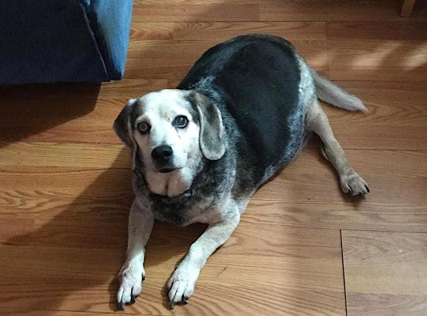 Buddy Lee’s grave marker returned