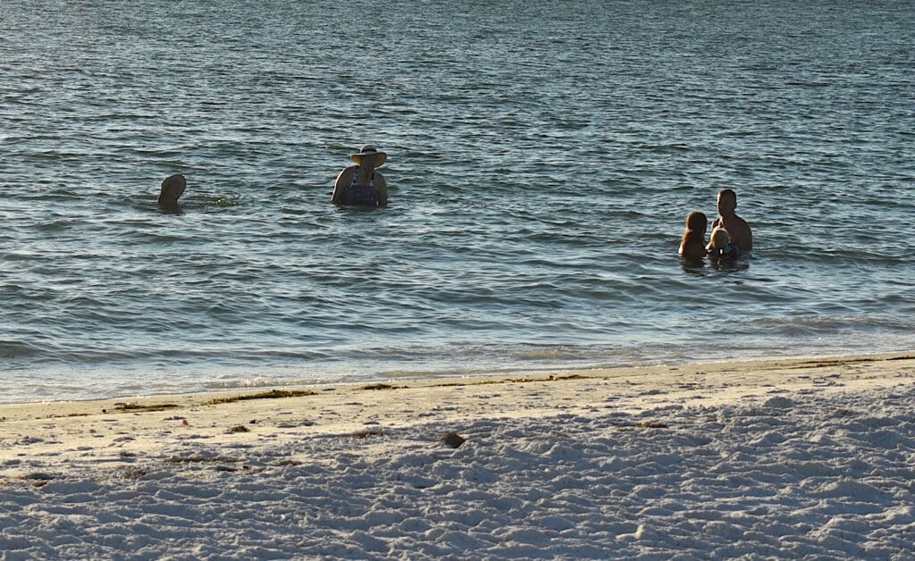 New signs address Bean Point swimming risks