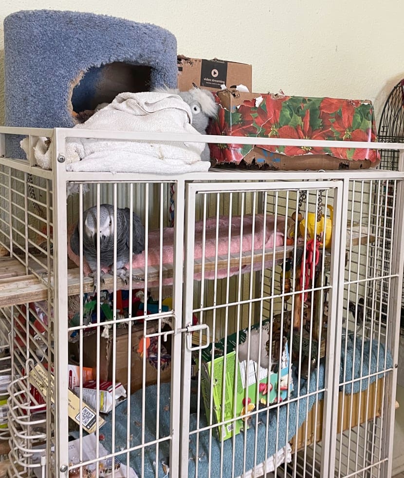 Bradenton Beach resident prepared after 2024 storms