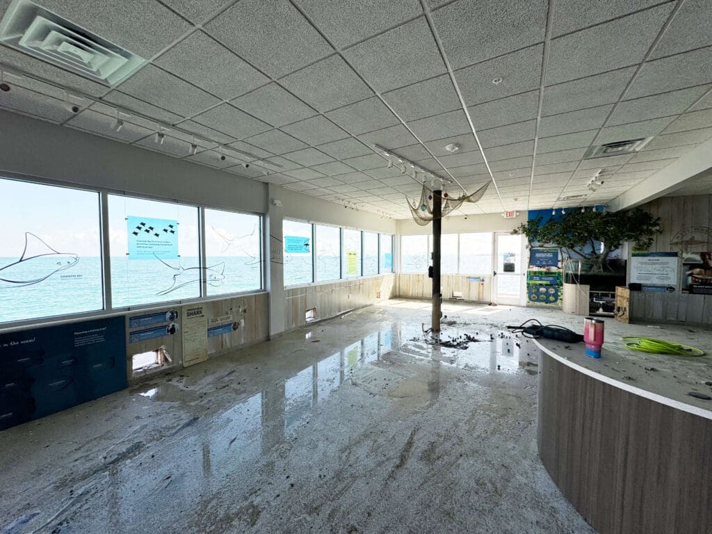 City Pier buildings emptied