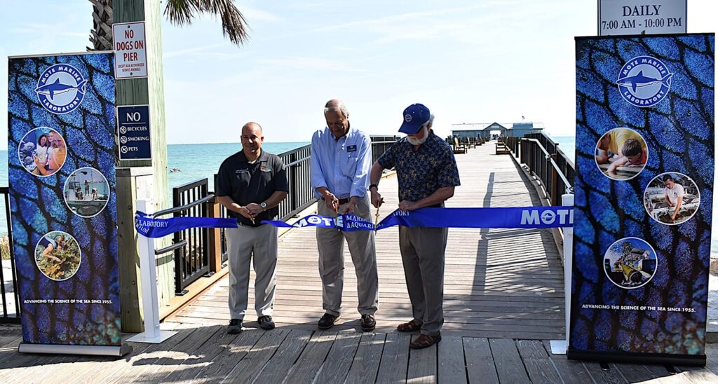 Mote Marine’s City Pier lease terminated