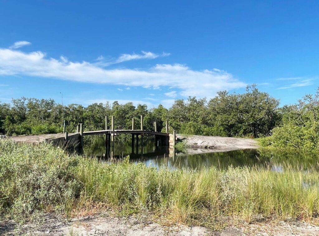 Cortez: The Year in Review