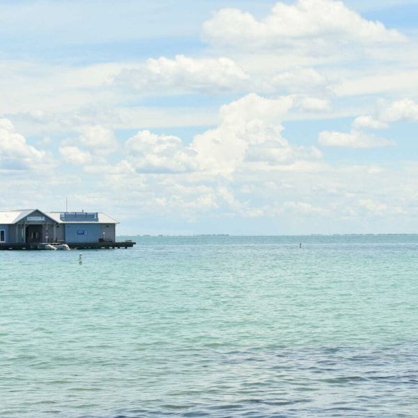 DeSantis approves state funds for City Pier replacement