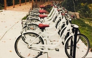 Mobility program dropped in favor of ban